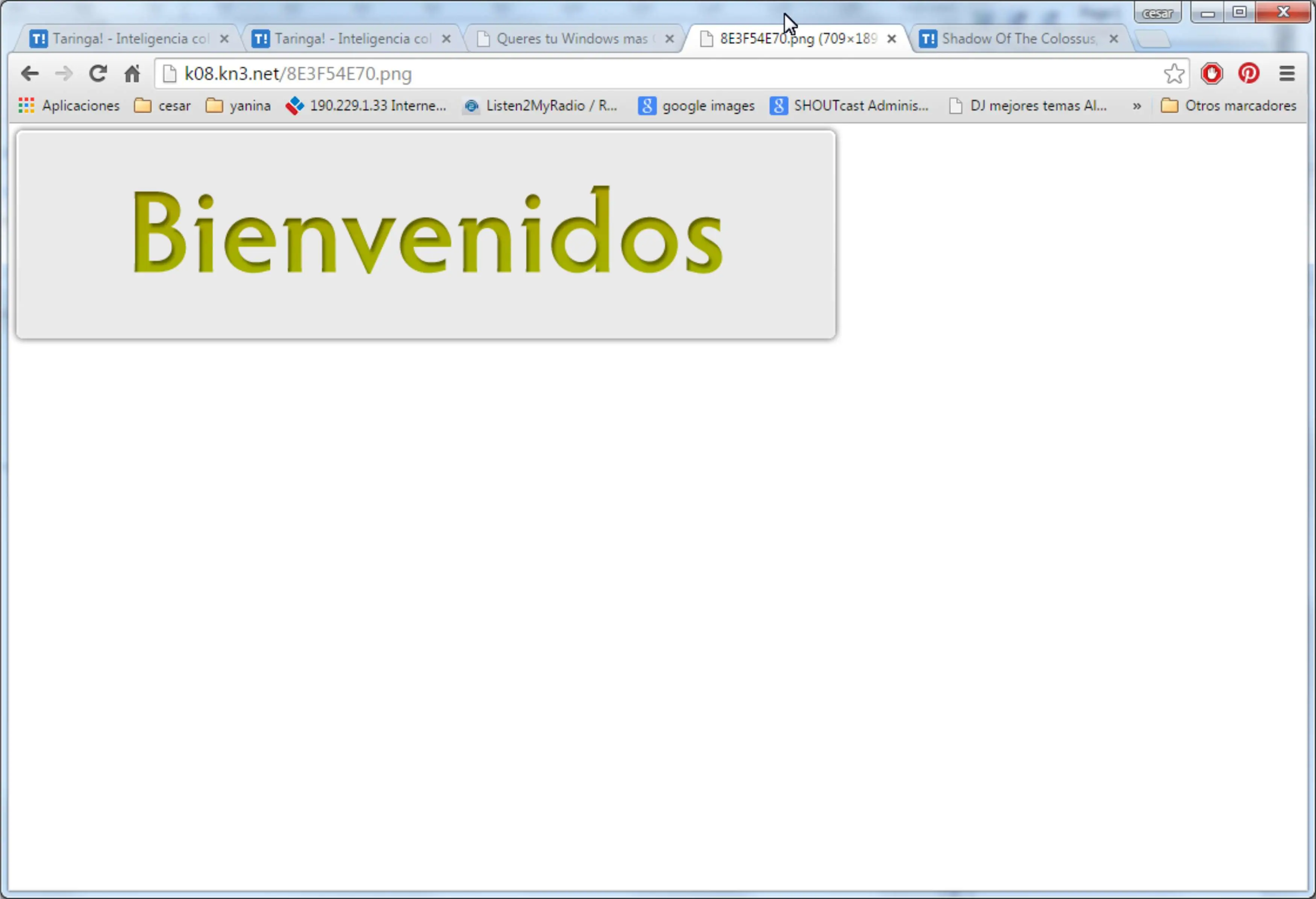 no veo