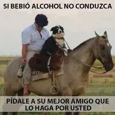 imagenes de risa