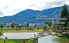 bogota
