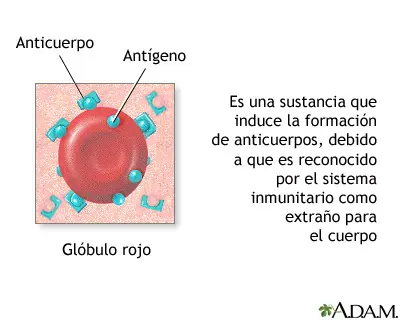 enfermedades respiratorias