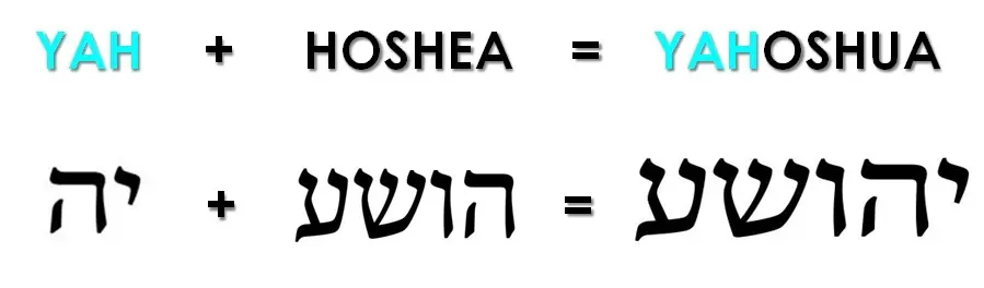 IASHUA