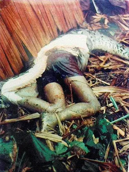 Anacondas comiendo gente. Sera cierto?