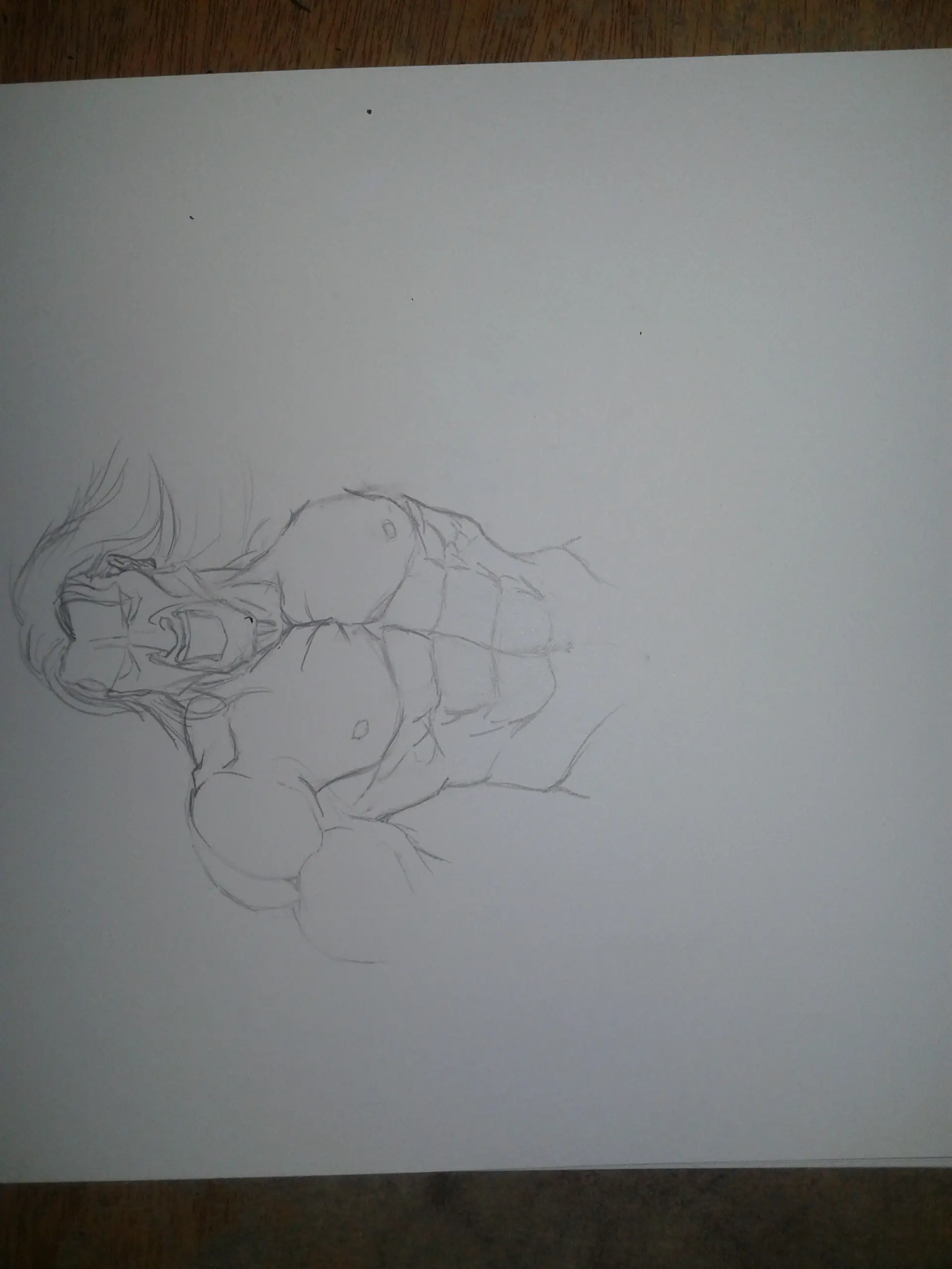 Dibujo