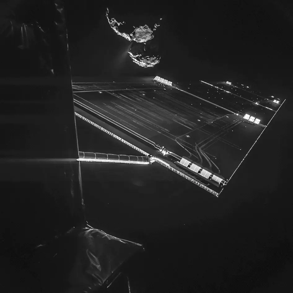 rosetta