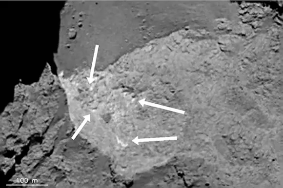 rosetta