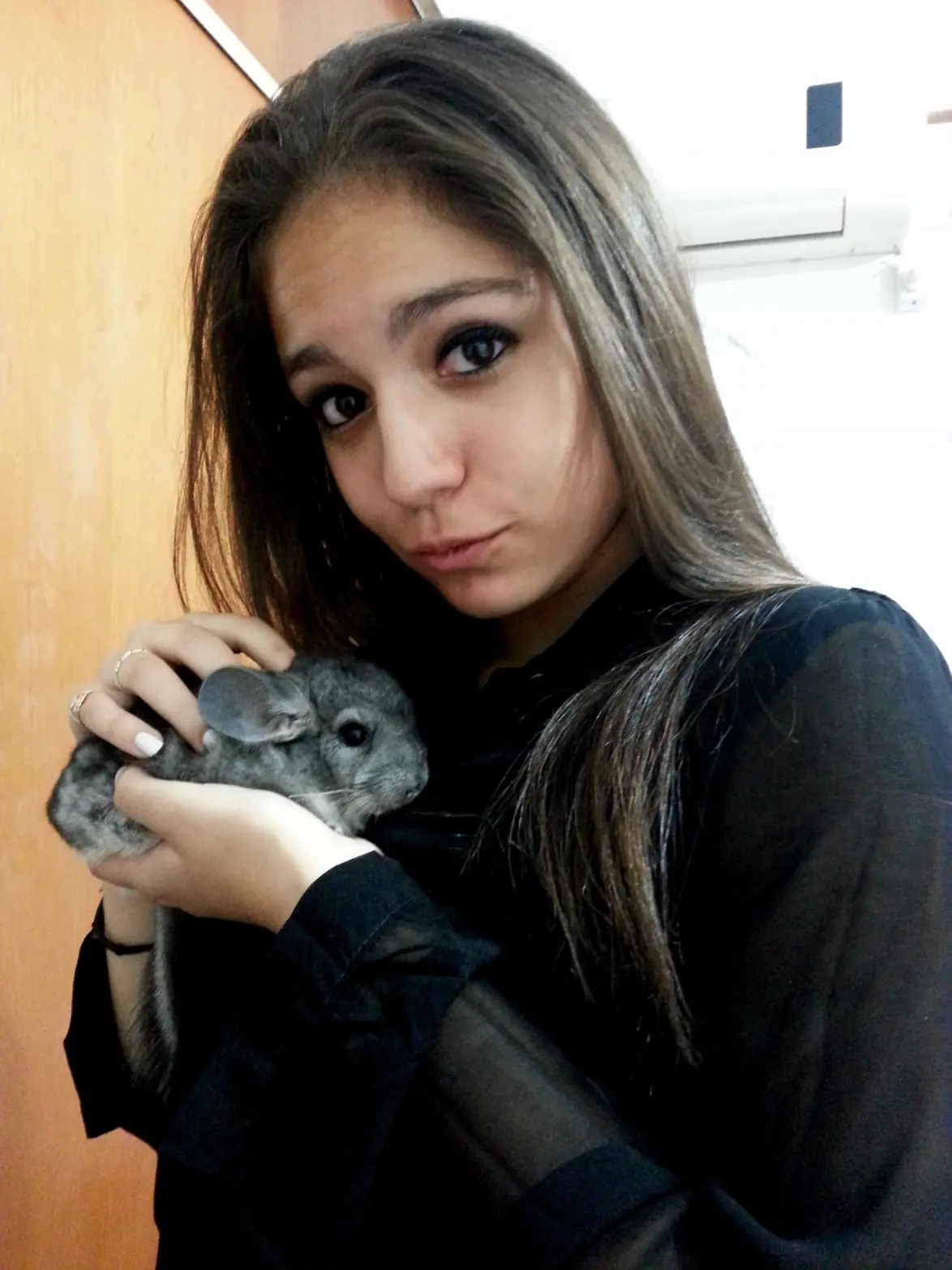 taringueras al poder