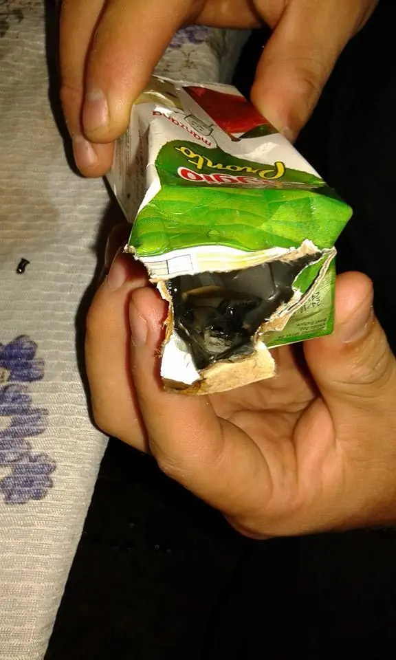 babosa