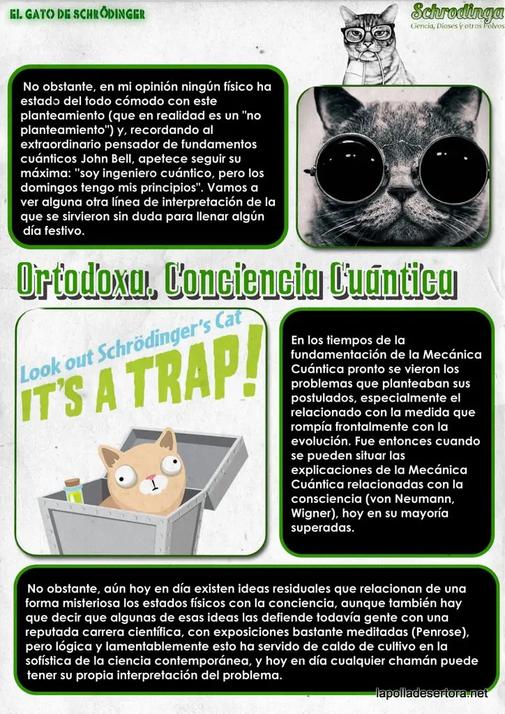 paradoja del gato de shcrodinger