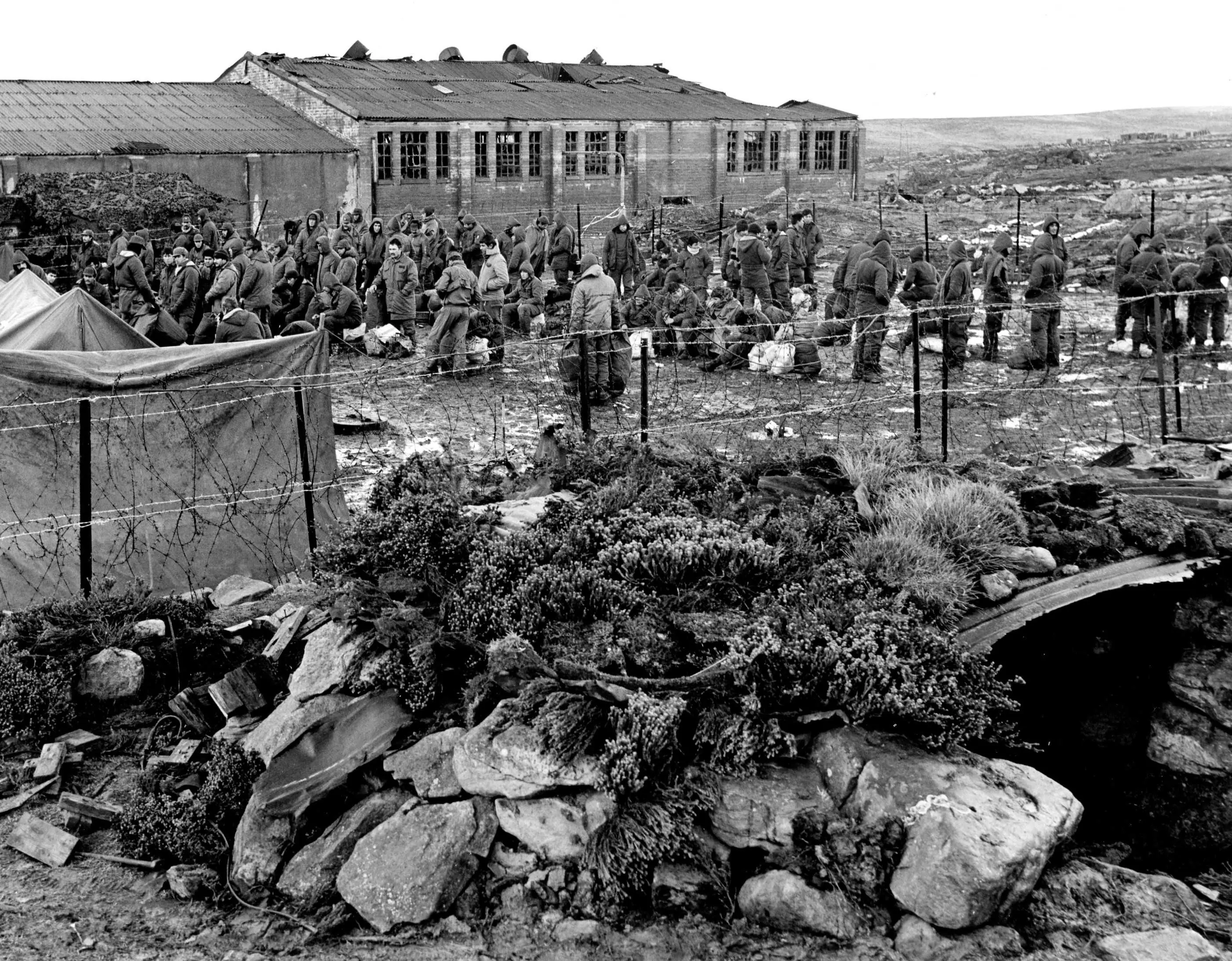 guerra de malvinas