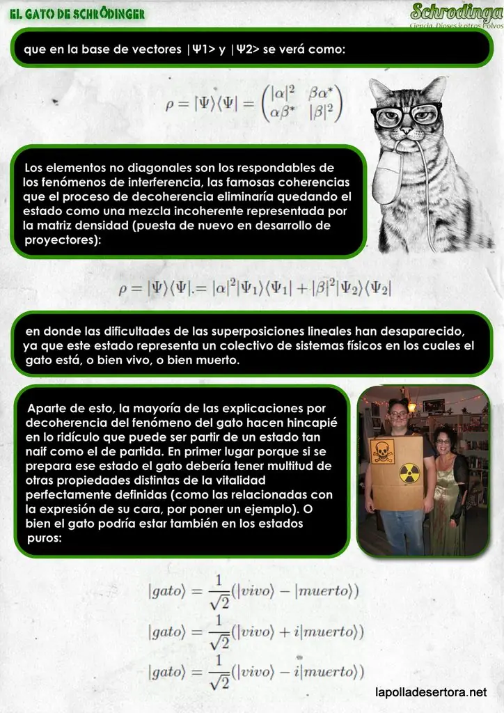El gato de Schrodinger - Interpretaciones
