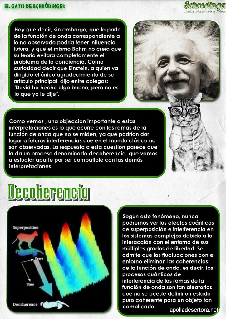 El gato de Schrodinger - Interpretaciones