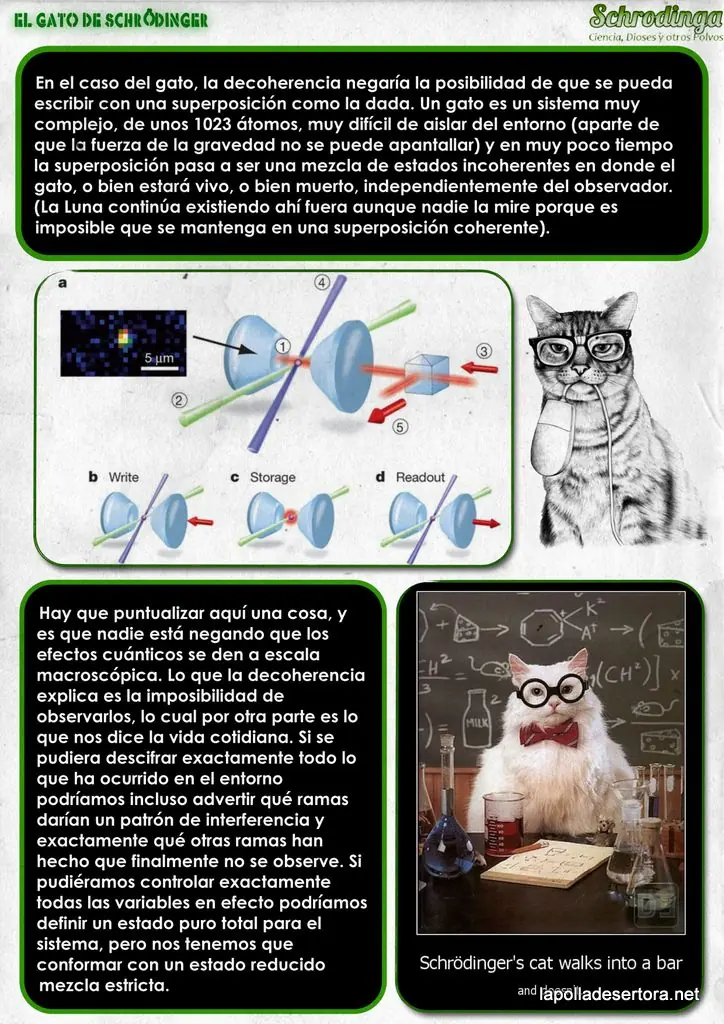 schrodinger