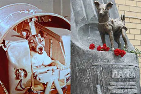 Laika astronauta
