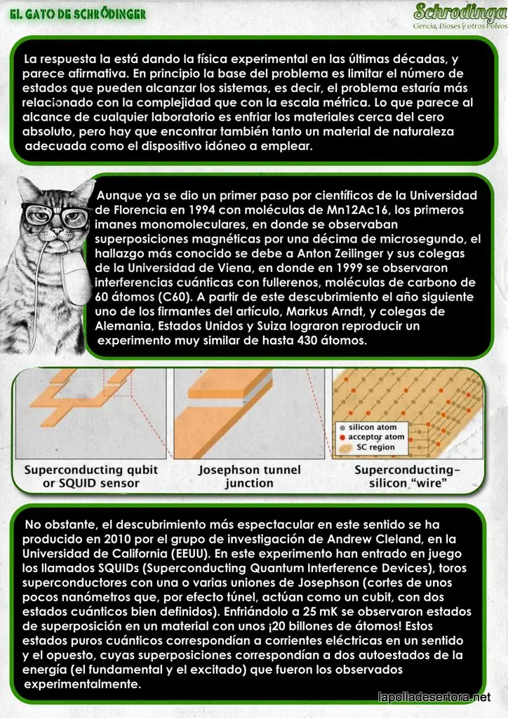 paradoja del gato de shcrodinger