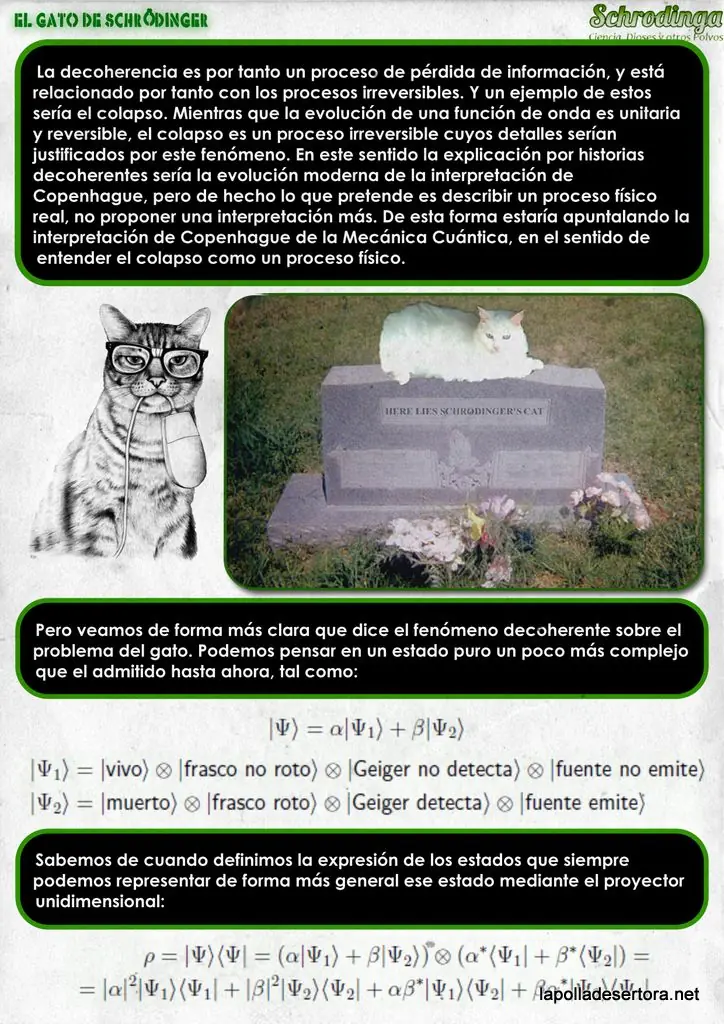 paradoja del gato de shcrodinger