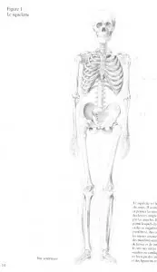 Sapiens