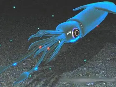 La luz creada por seres vivos ¡Bioluminiscencia!
