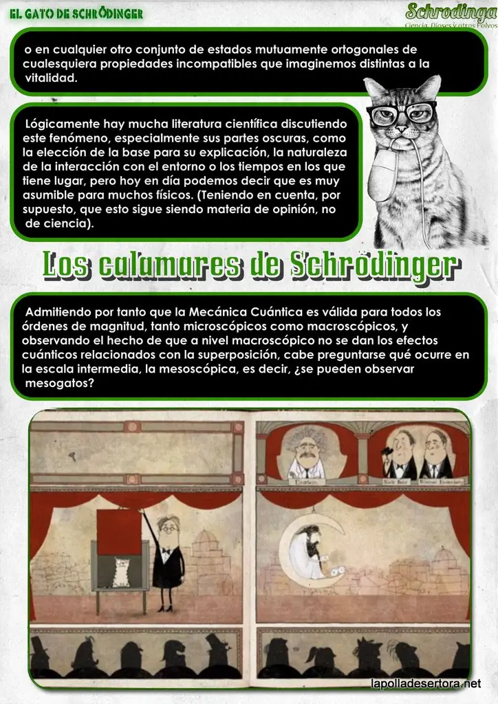 gato