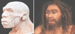 homo neanderthalensis