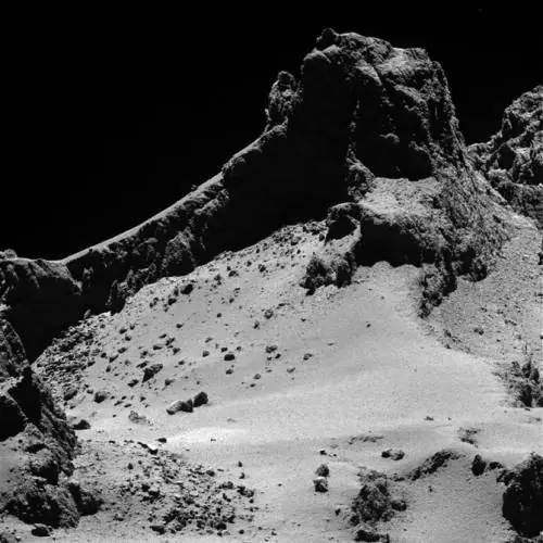 rosetta