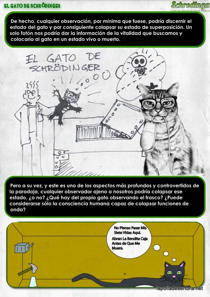 El gato de Schrodinger - Interpretaciones