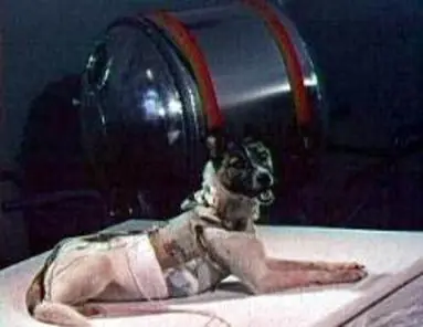 la verdadera historia de Laika la perrita astronauta