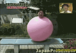 gifs