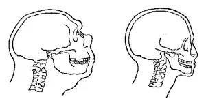 Genoma