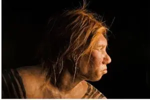 Sapiens