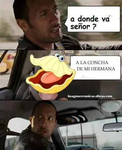 fotos graciosas