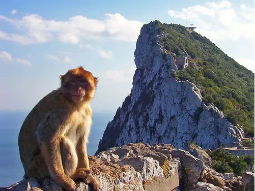 gibraltar robada a espana