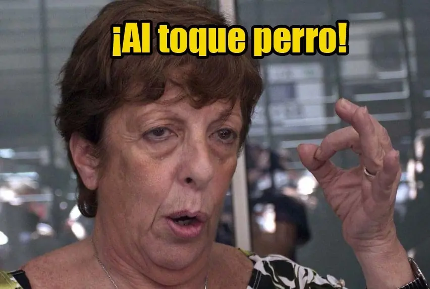 fiscal fein