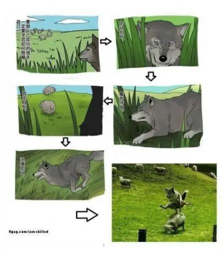 megapost imagenes