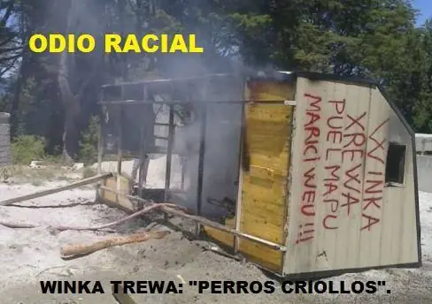 Confirmado: Mapuches Separatistas incendiaron los bosques