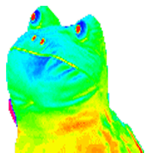 chat