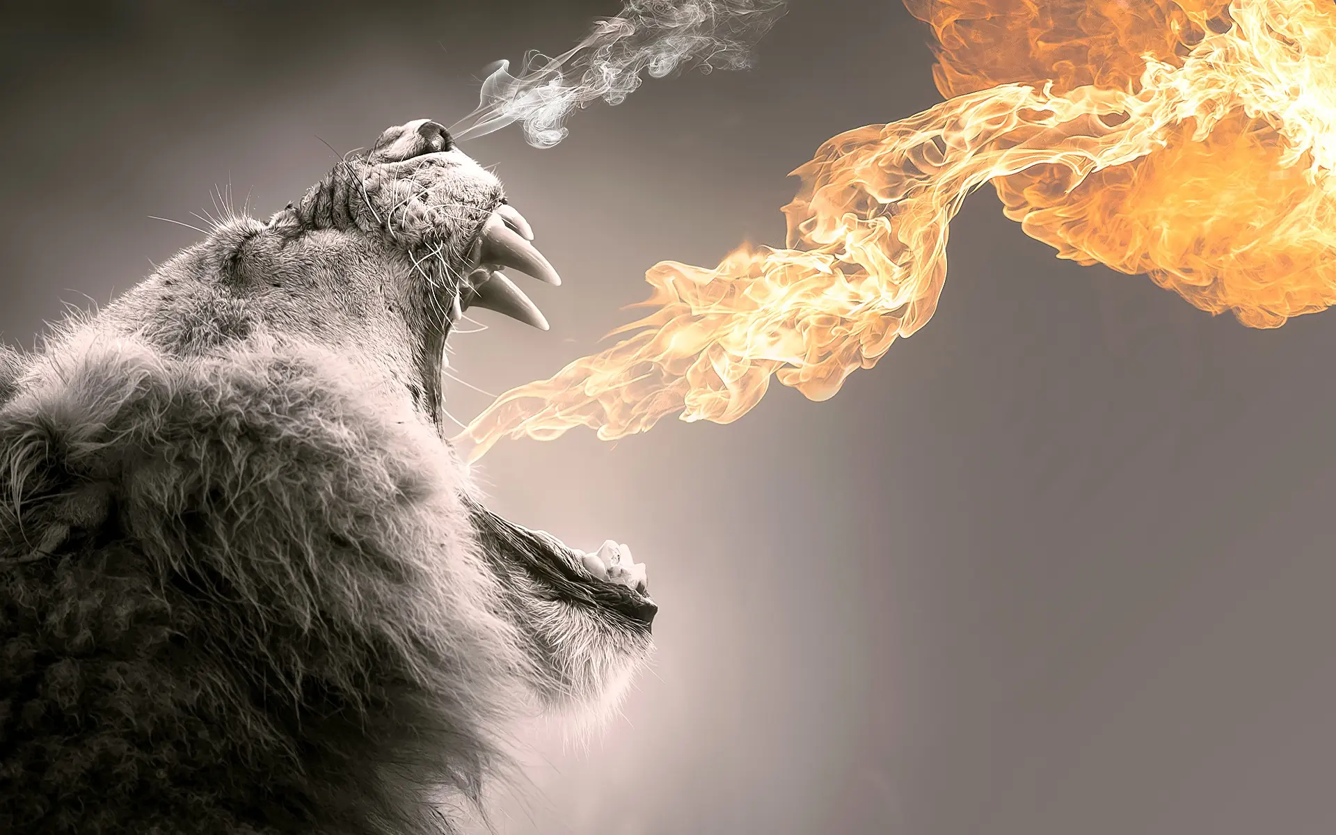 imagenes humor