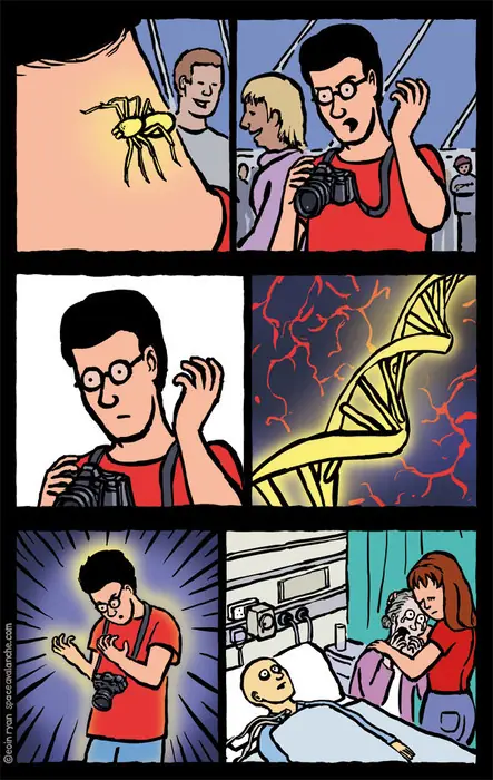 gifs humor
