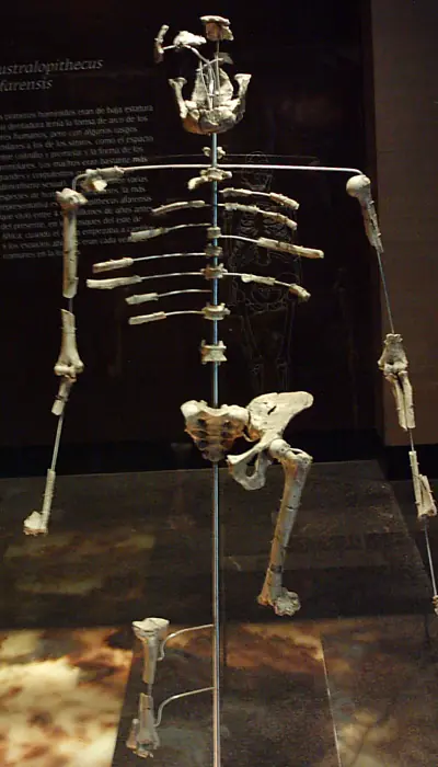 Darwin