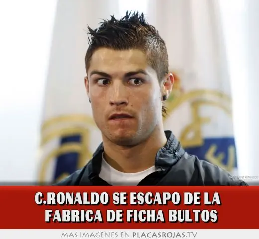 bultos