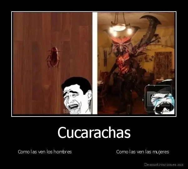 cucarachita
