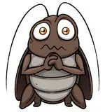 cucaracha