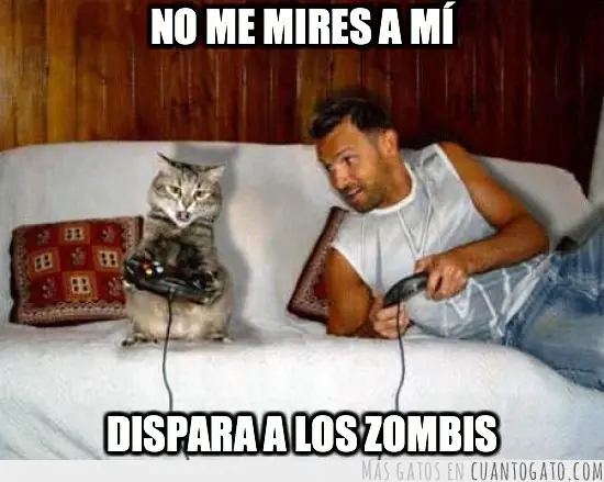 gamer