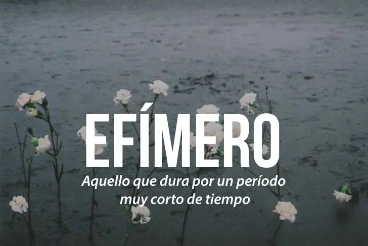 palabras espanolas