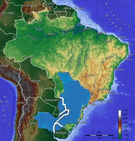 Estamos en peligro, y nadie hace nada.