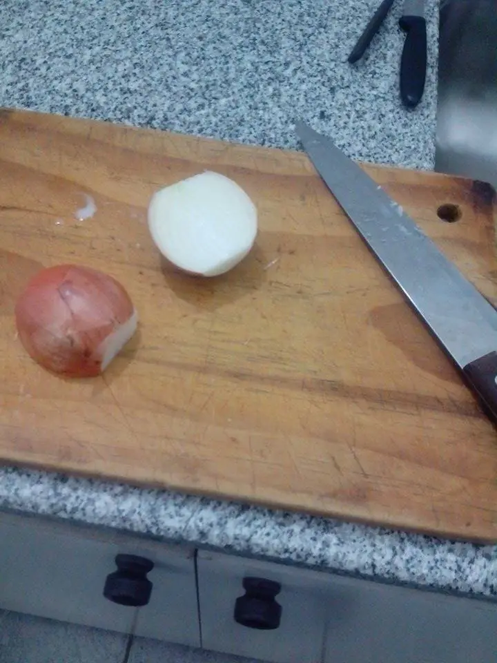 POLLO
