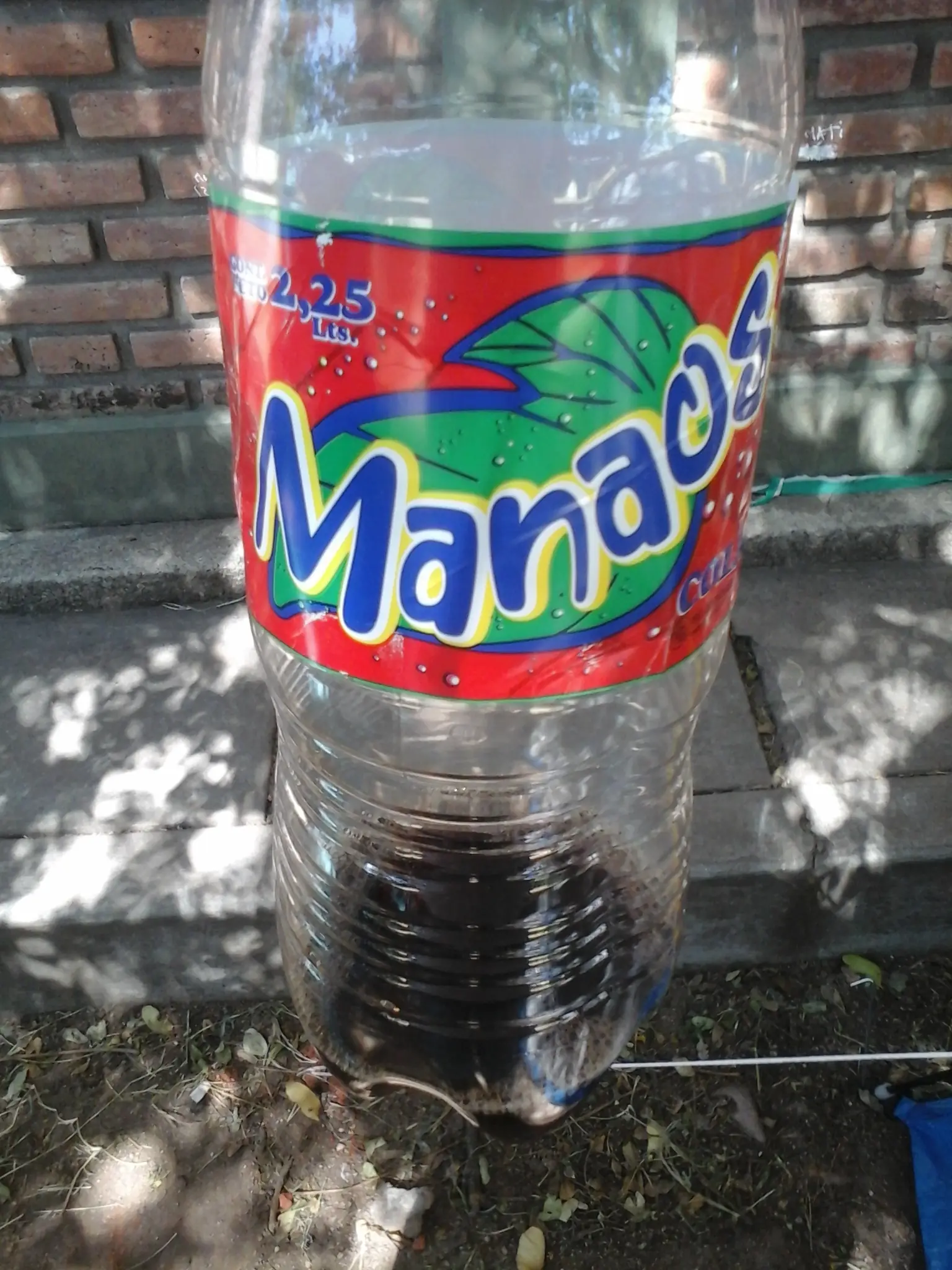 te lo cuento