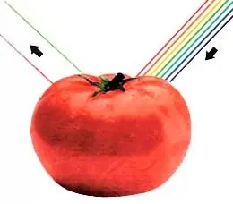 El color existe o es solo un percepción del cerebro?