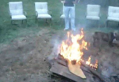 Gifs