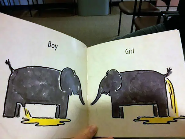 libros sexuales