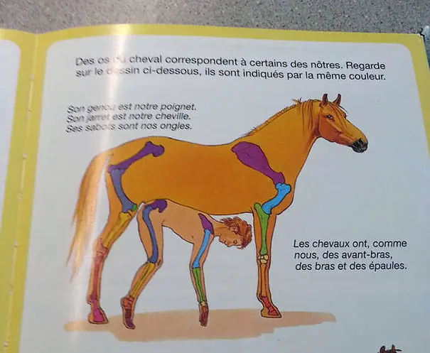 textos